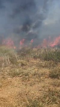 Fire in Argaman