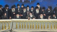 כינוס חסידי ויז'ניץ