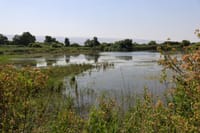 Stream in Israel