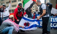 Pro-Palestinian protests