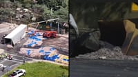 A Truck Loaded With octopuses Overturned On a Highway