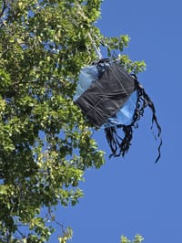 Kite in Nahal Oz
