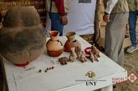Some of the findings