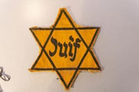 Holocaust Yellow Star of David