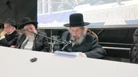 Rabbi Dov Lando