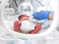 baby in incubator