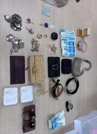 Stolen items