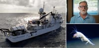 Gabe Newell alongside the research vessel and image of the discovered creature