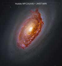 The Black Eye Galaxy