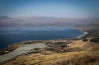 The Kinneret