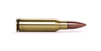 Bullet (Illustration)