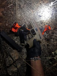 The handgun and magazines