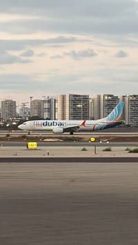 The rescue aircraft at Ben Gurion Airport