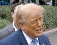 President Trump