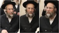 Rav Yitzchak Zev Soloveitchik