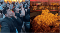 The golden secret: the $256 million tree that rises from the ground