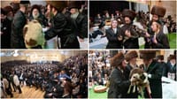 Pidyon peter chamor ceremony in London