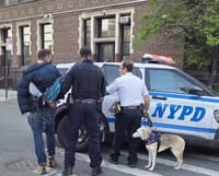 Williamsburg arrest