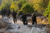 Activity of the 810th "Mountains" Brigade forces in the Har Dov sector
