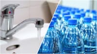 Bottled or tap water