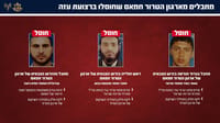 The terrorists eliminated in the strikes