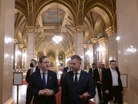 Herzog and Péter Magyar