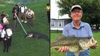Right: Steven Hamilton; left: the alligator after it was captured