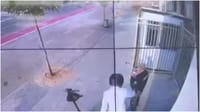 Weapon stolen from guard in Givat Shmuel