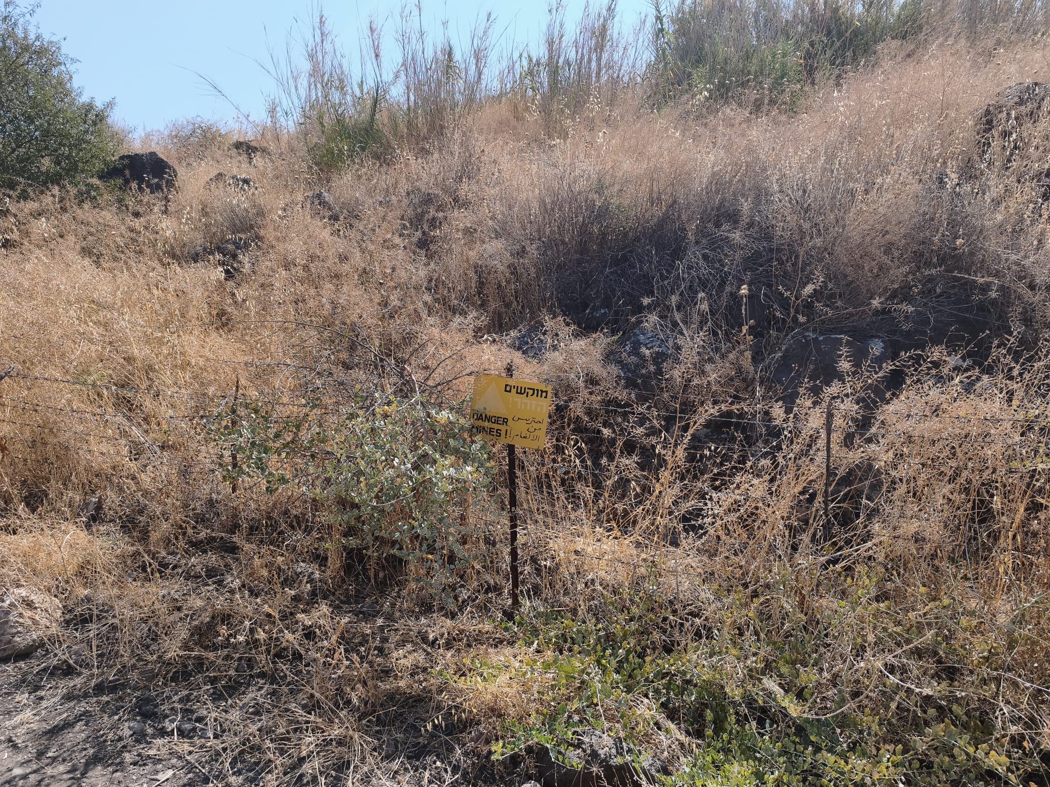 Mines in the Golan