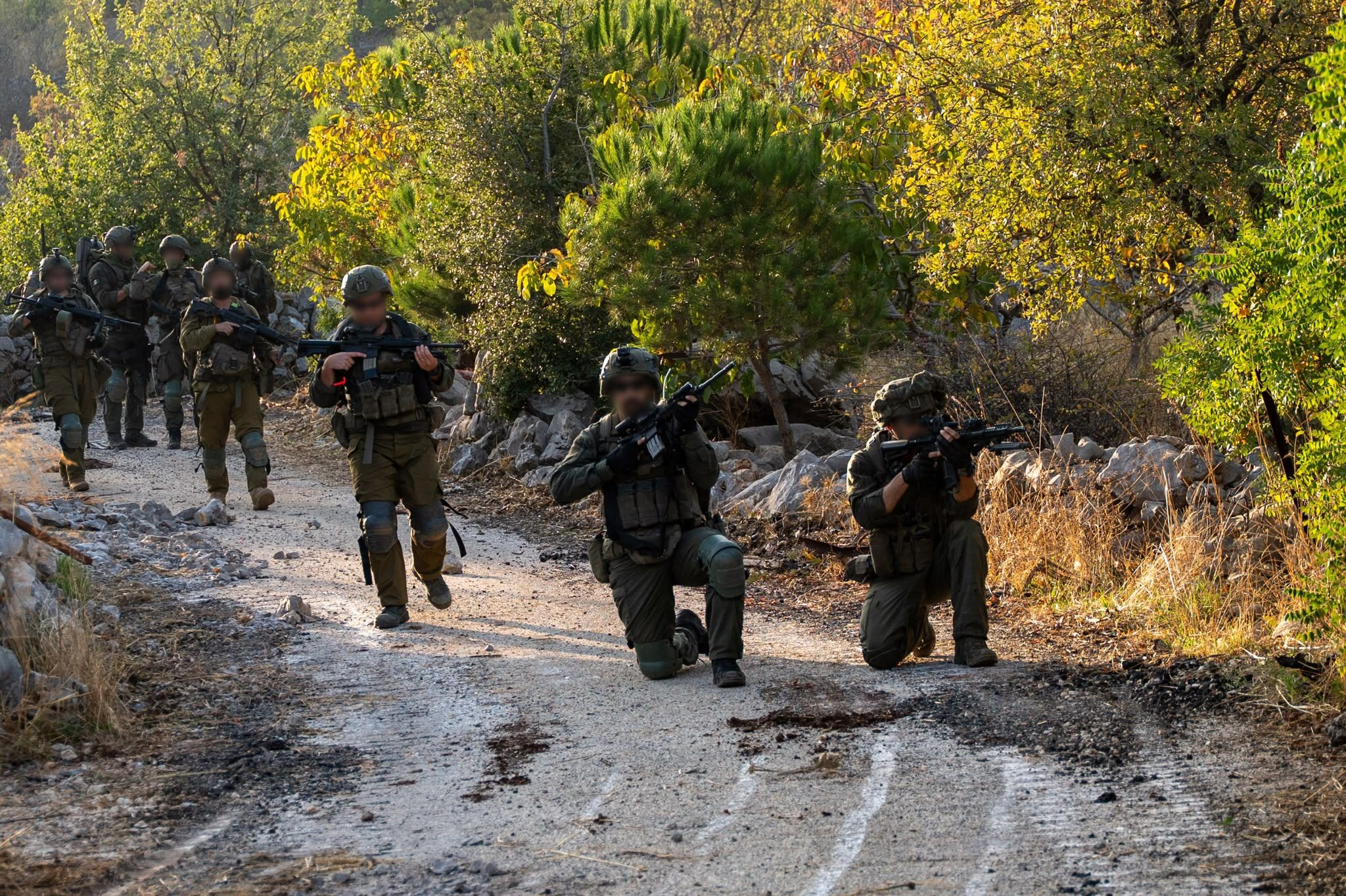 Operations by the 810th "Mountains" Brigade in the Mount Dov sector