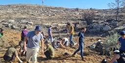 Otniel youth planting trees.