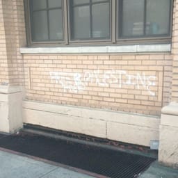 "Free Palestine" on the yeshivah walls.