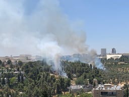 Fire in Valley of the Cross.
