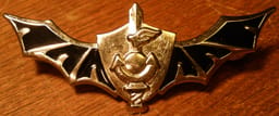 Shayetet 13's insignia