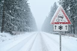 Snowstorm