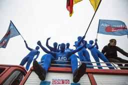 Activists rally for AfD