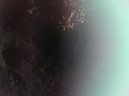 Firefly lands Blue Ghost on the moon