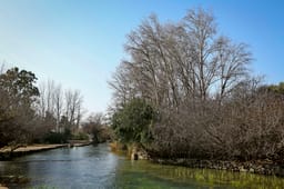 View of springs in Banias Nature Reserve in Northern Israel