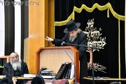 Rabbi Dov Lando