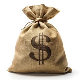 A bag of cash.