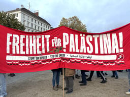 Pro-Palestine demonstrators in Berlin