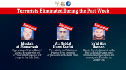 Terrorists eliminated
