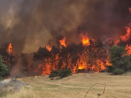 Scene of the fire on Road 1