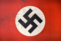 Nazi flag.