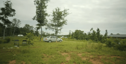 Return to the Land