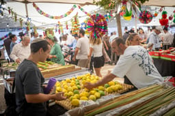 A Sukkot of hope