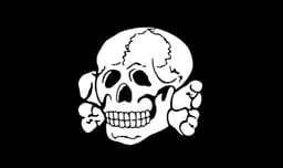 Nazi's "Death Head"