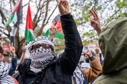 Masked Protester