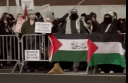 Anti-Israel protests in New York. Illustration.