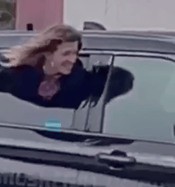 Handcuffed Woman Escapes Police Cruiser Through Rear Window in Michigan